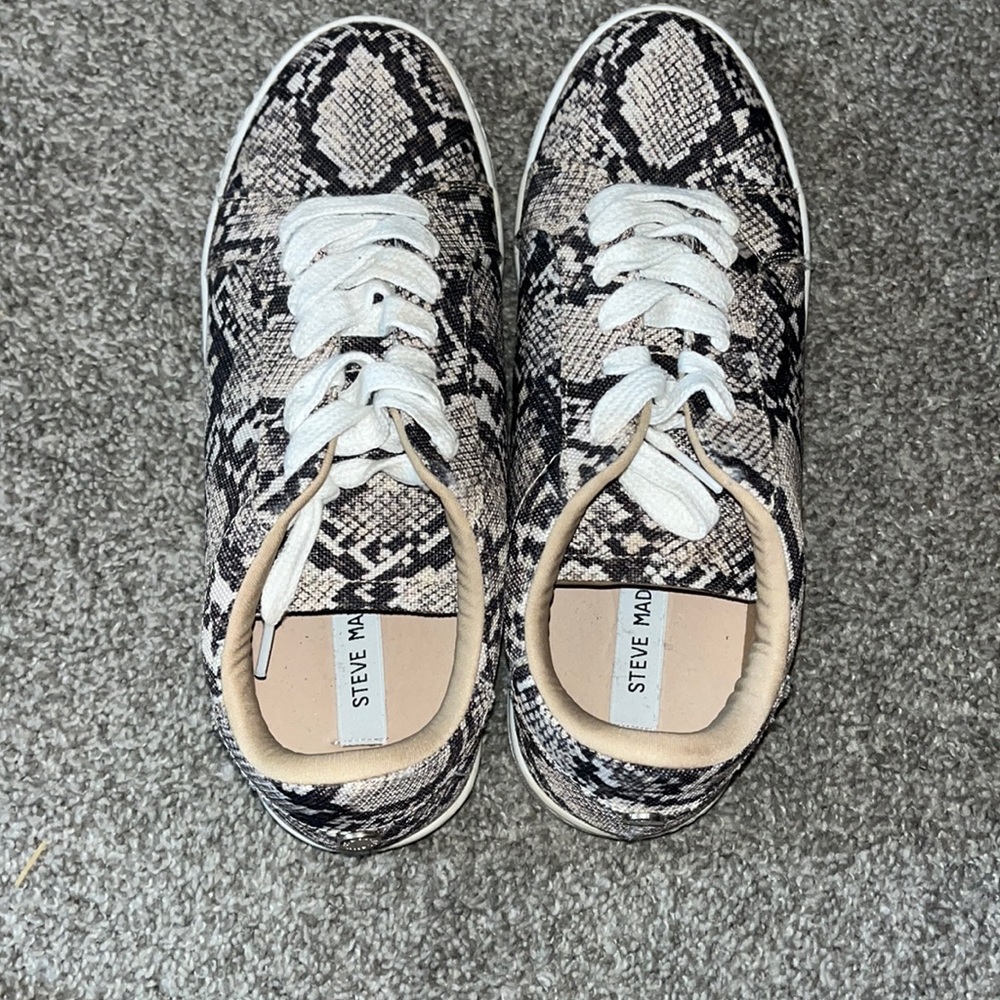 Steve Madden Snakeskin Sneakers